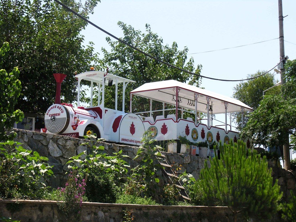 DSCN7633.jpg