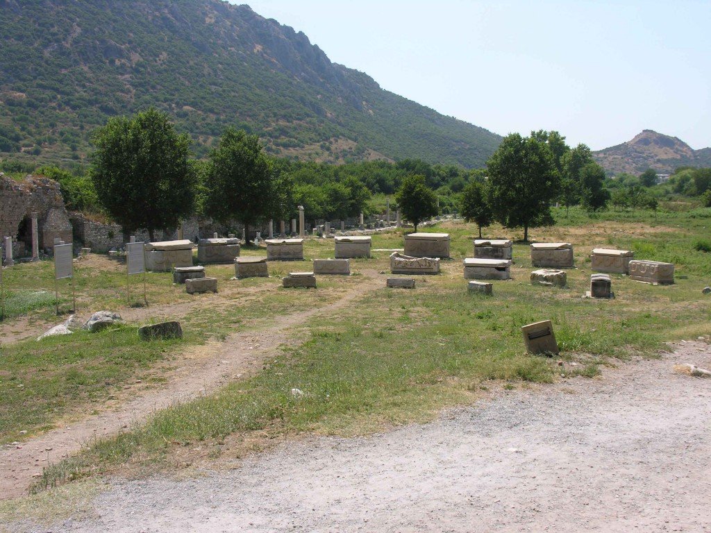 DSCN7661.jpg