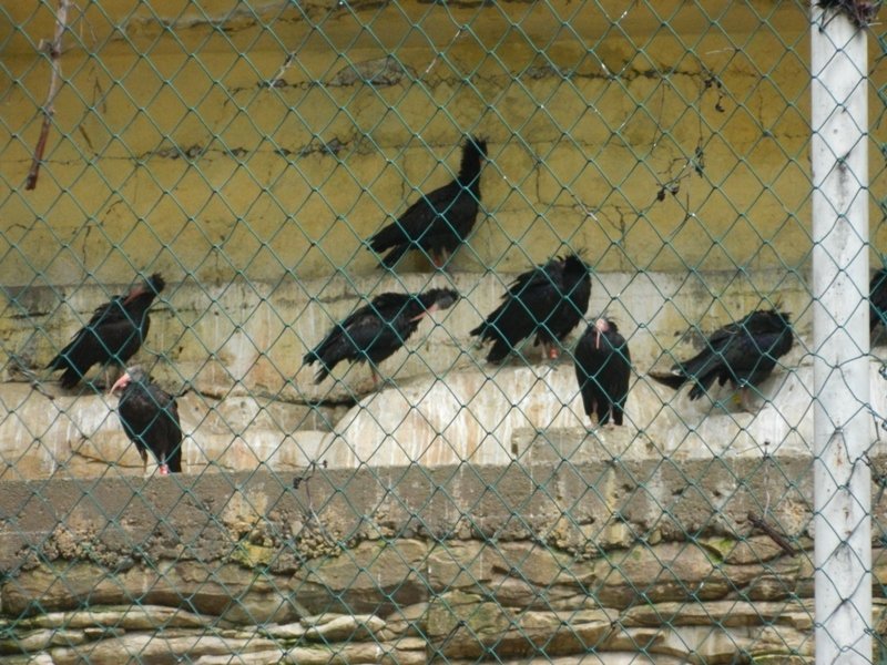 DSCN7672.JPG