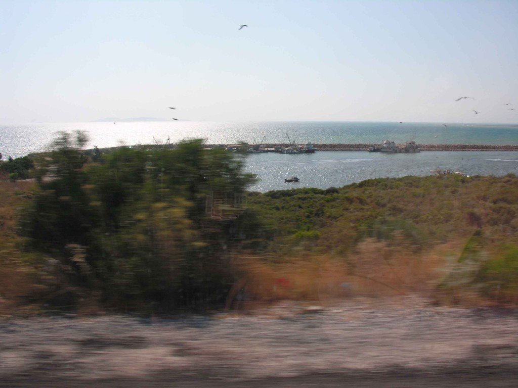 DSCN7686.jpg
