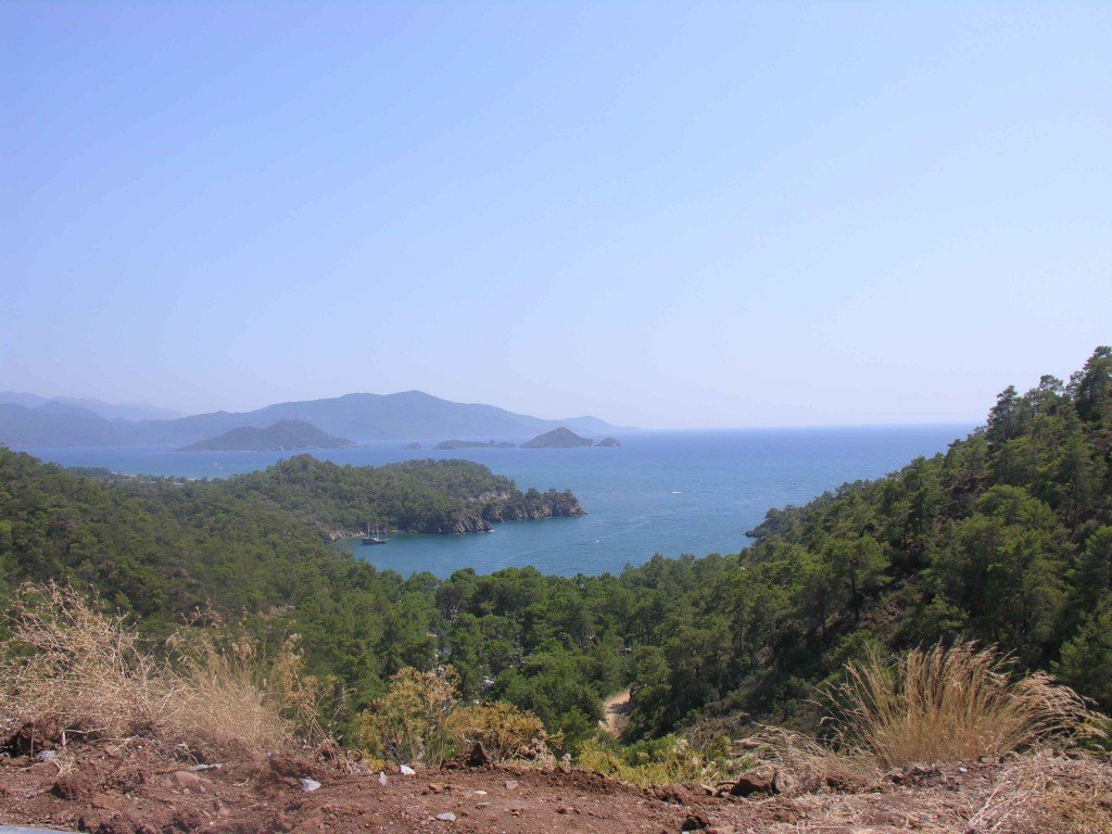 DSCN7740.jpg