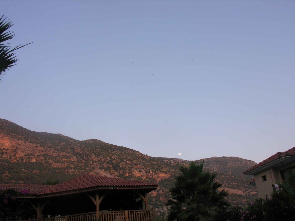 DSCN7743.jpg