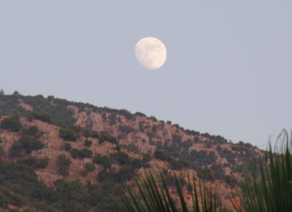 DSCN7746.jpg