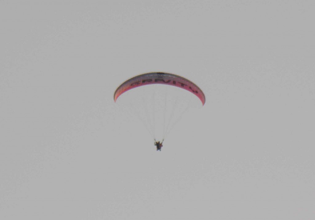 DSCN7749.jpg