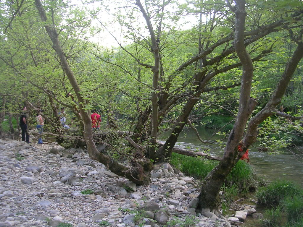 DSCN7751.jpg