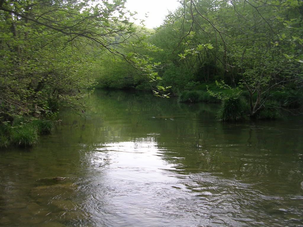 DSCN7761.jpg