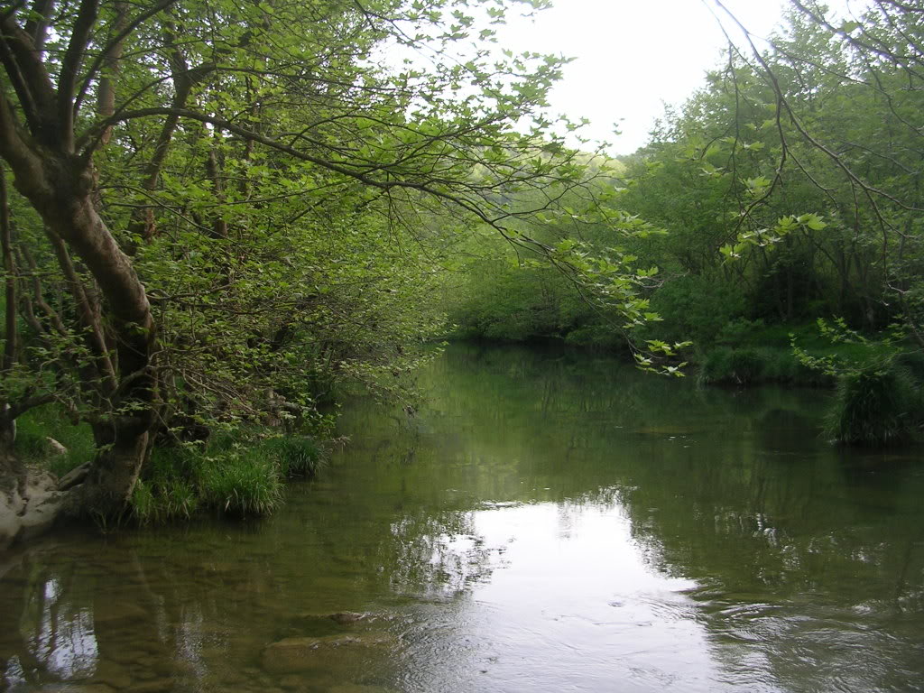 DSCN7764.jpg