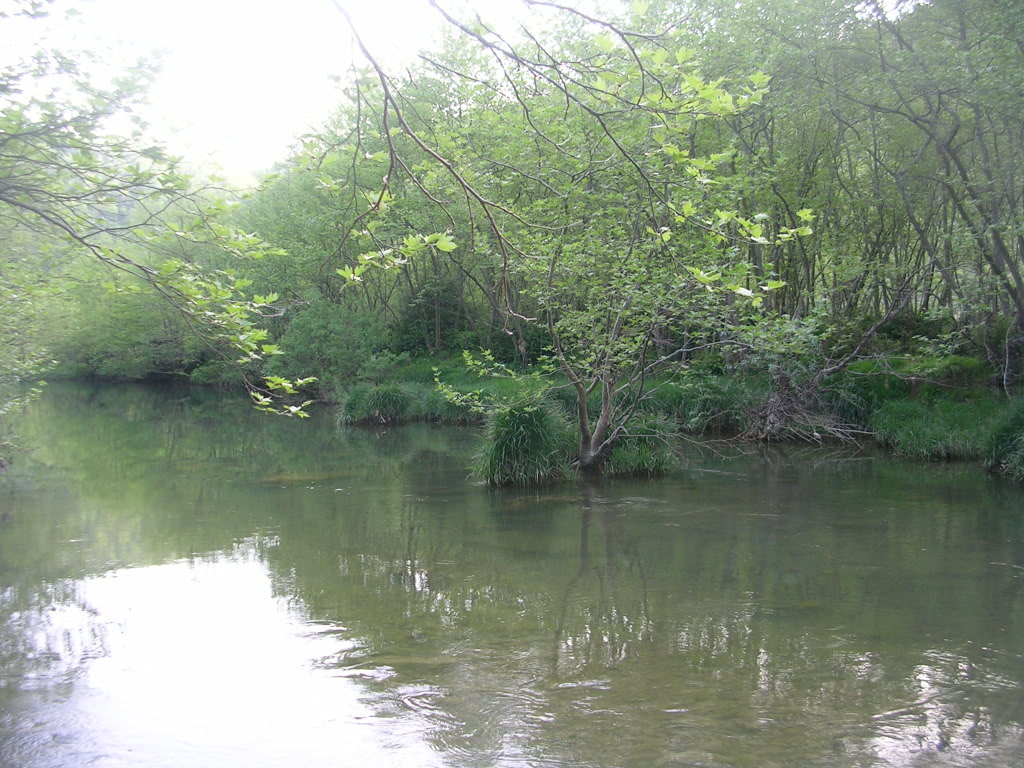 DSCN7766.jpg