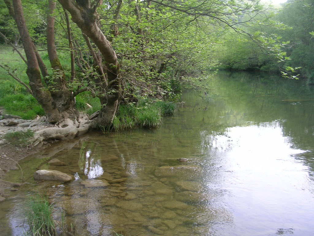 DSCN7769.jpg