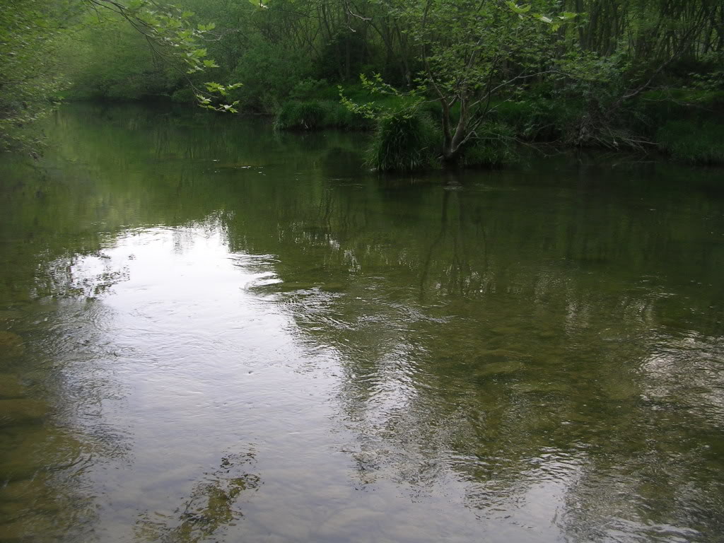 DSCN7771.jpg