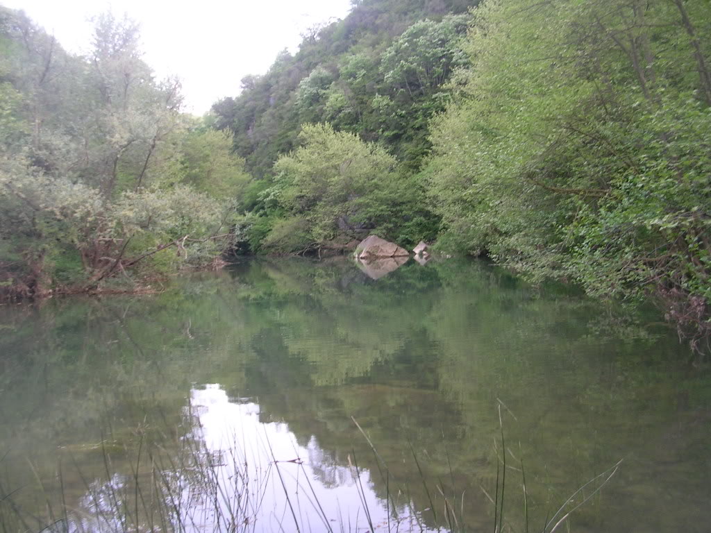 DSCN7773.jpg