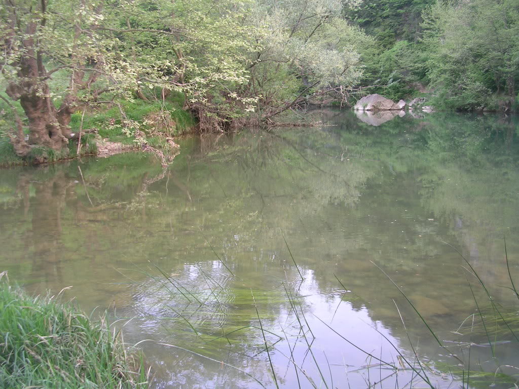 DSCN7780.jpg