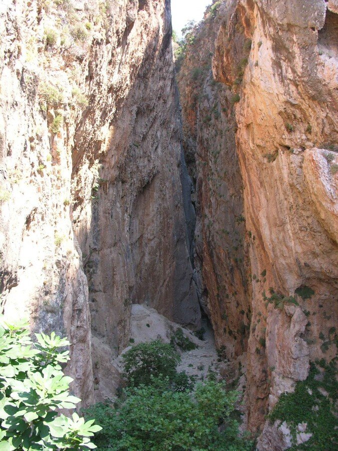 DSCN7859.jpg