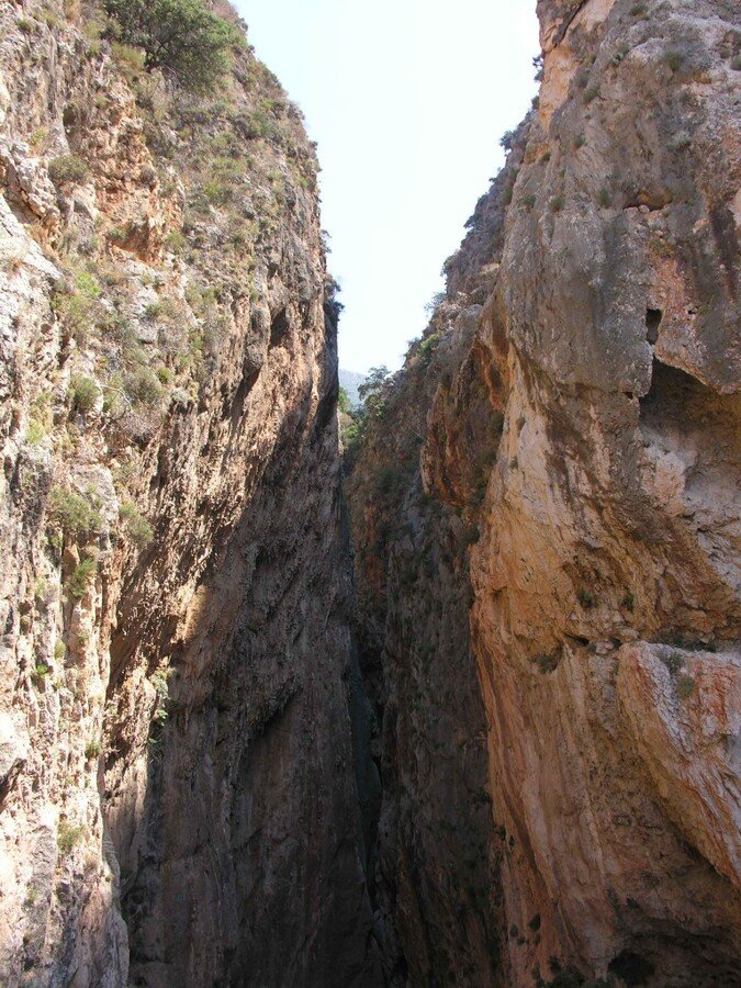 DSCN7860.jpg