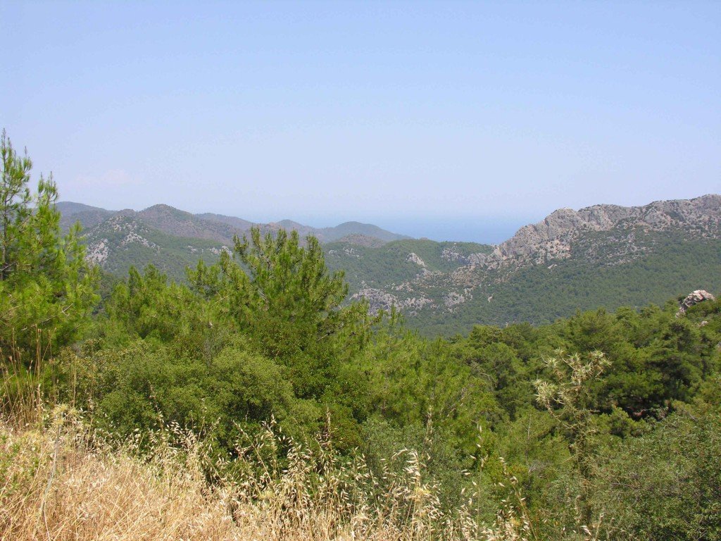 DSCN7869.jpg