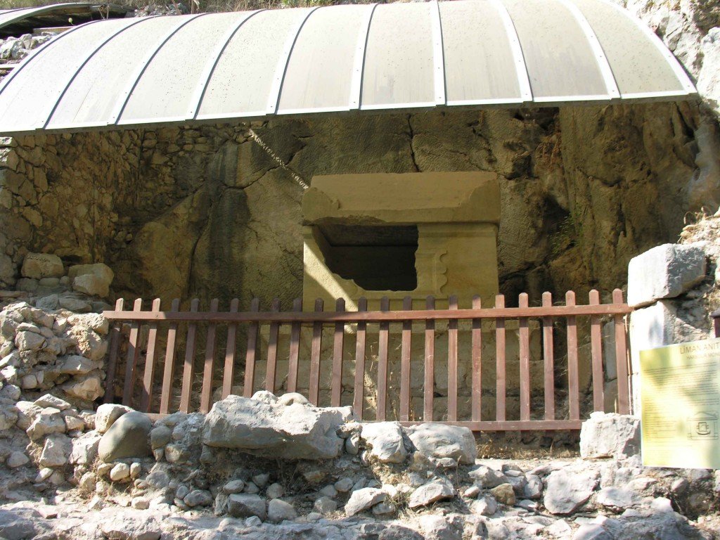 DSCN7878.jpg