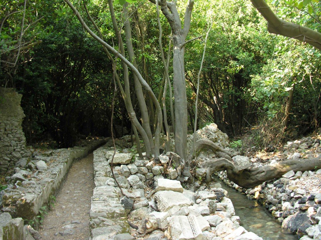 DSCN7881.jpg