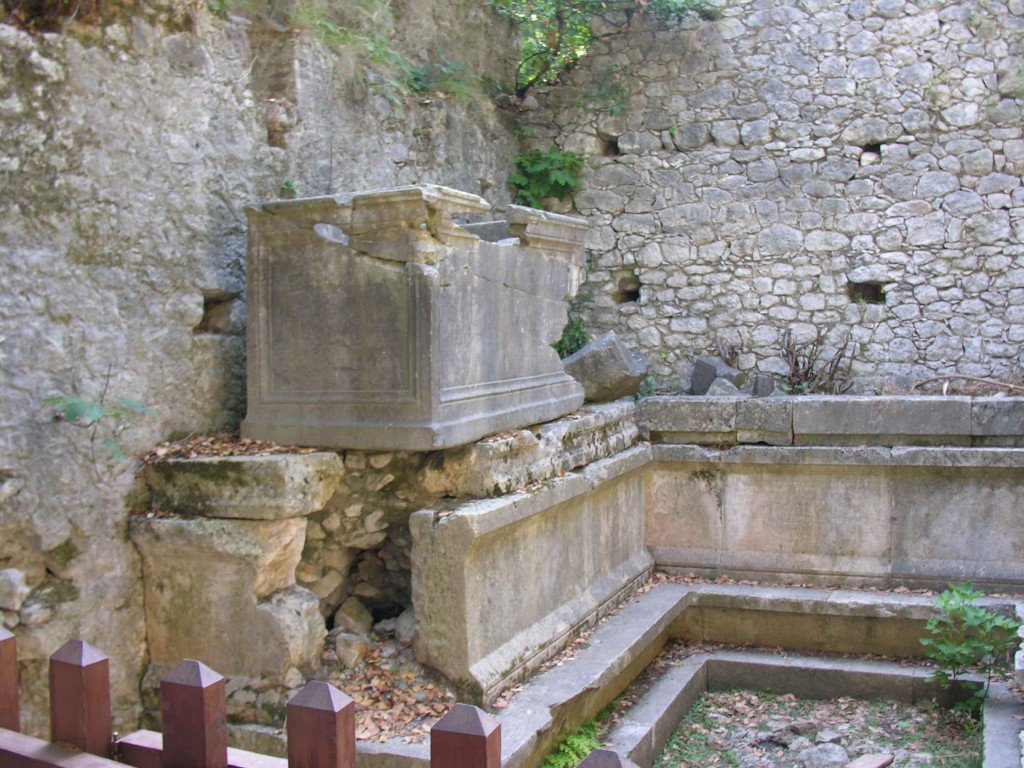 DSCN7885.jpg