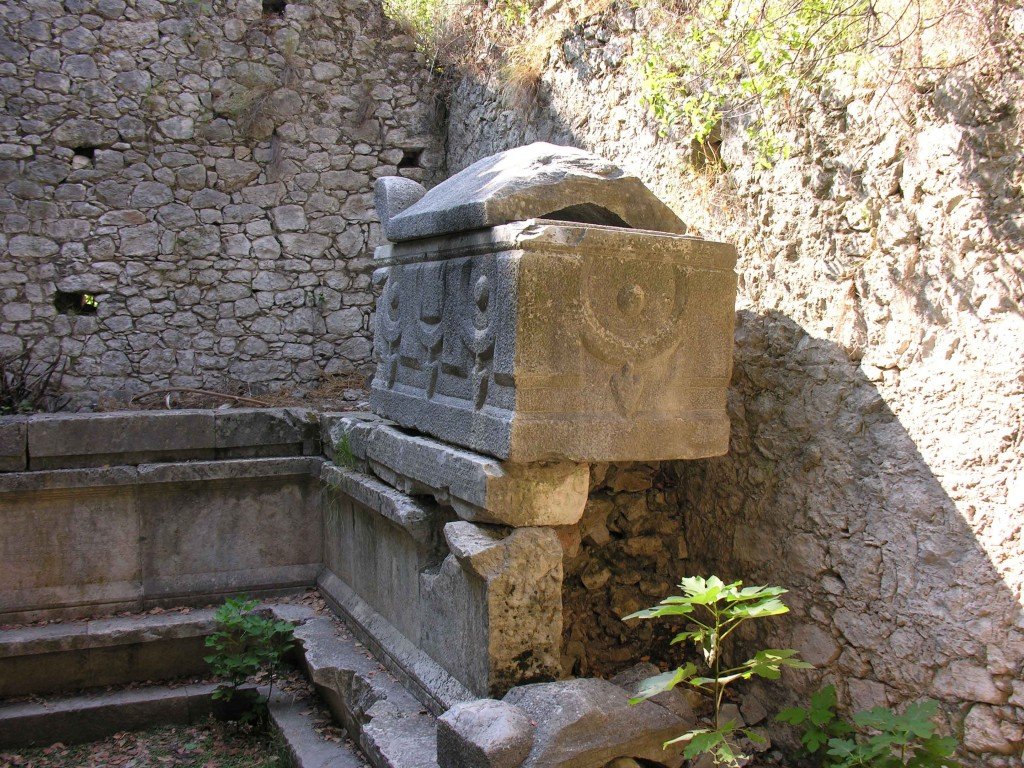 DSCN7886.jpg