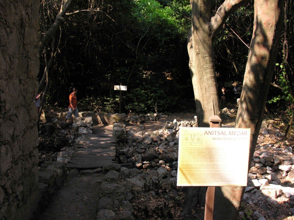 DSCN7887.jpg