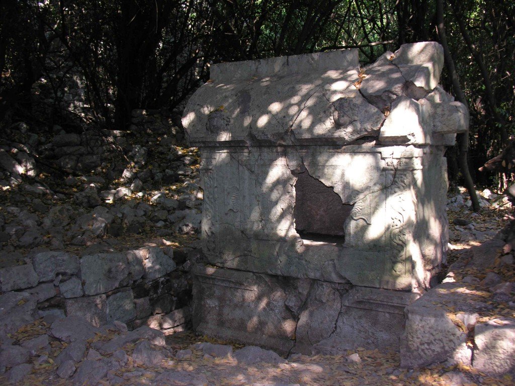 DSCN7889.jpg
