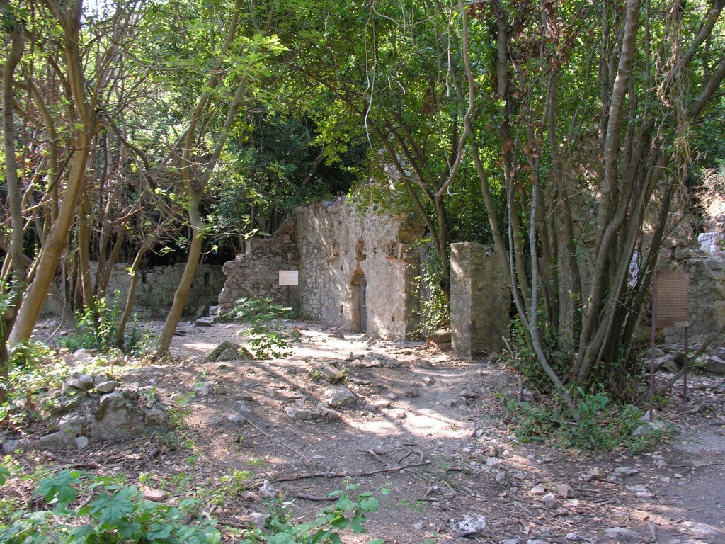 DSCN7891.jpg