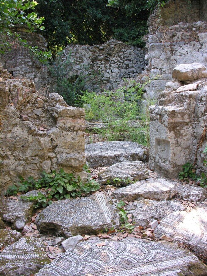 DSCN7893.jpg