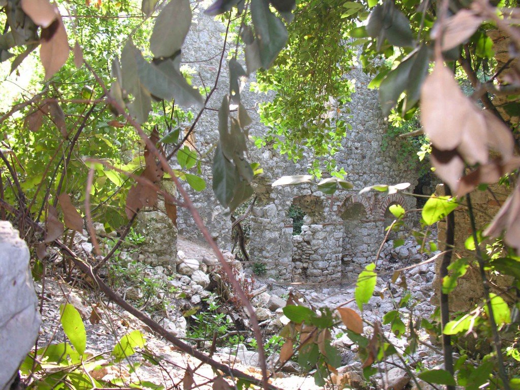 DSCN7902.jpg