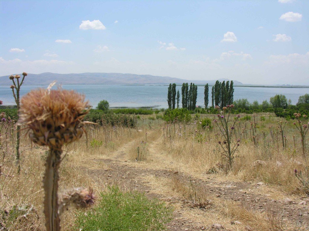 DSCN7908.jpg