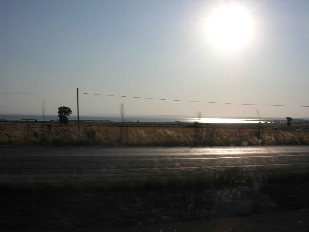 DSCN7927.jpg