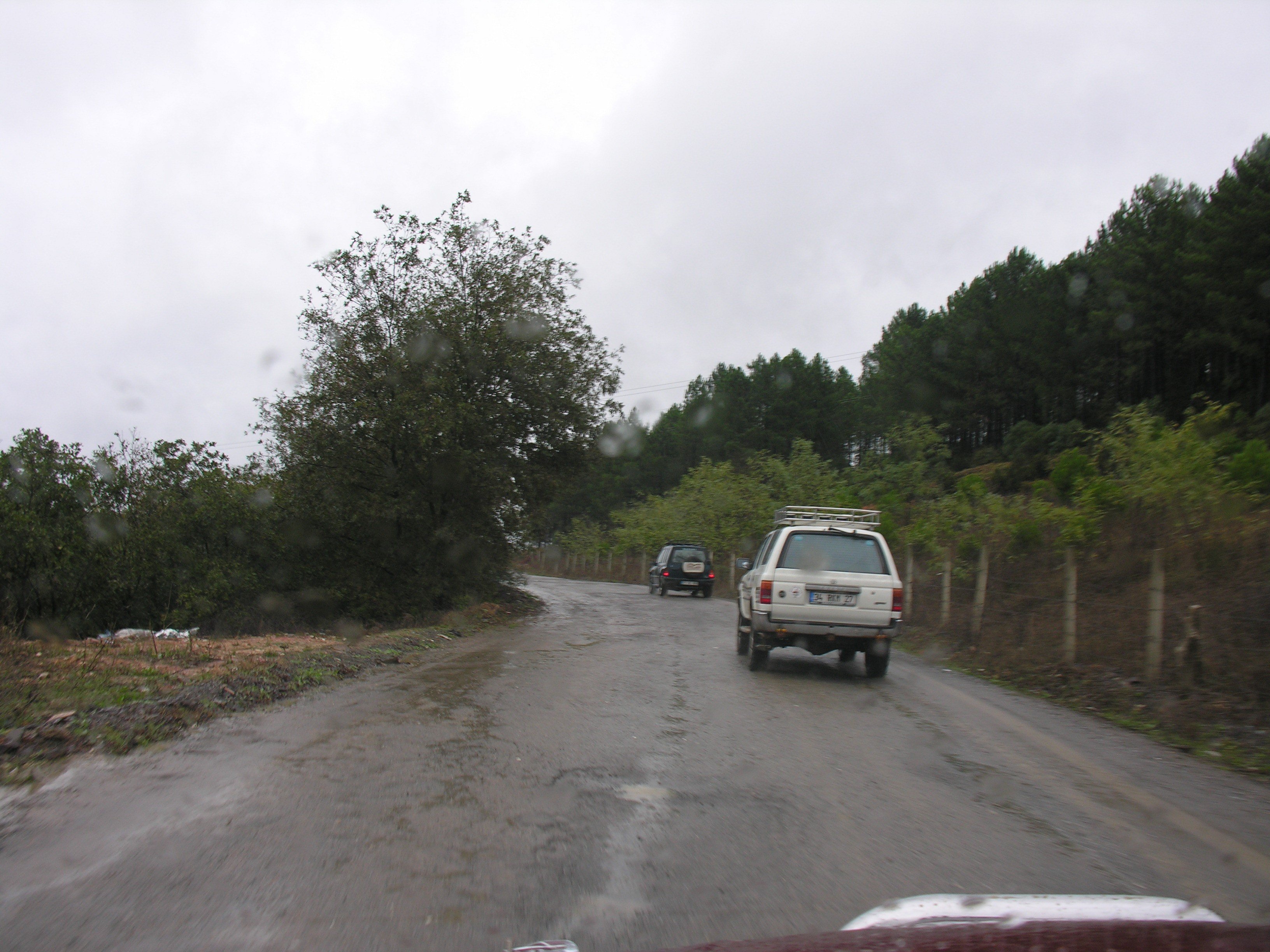 DSCN7934.jpg