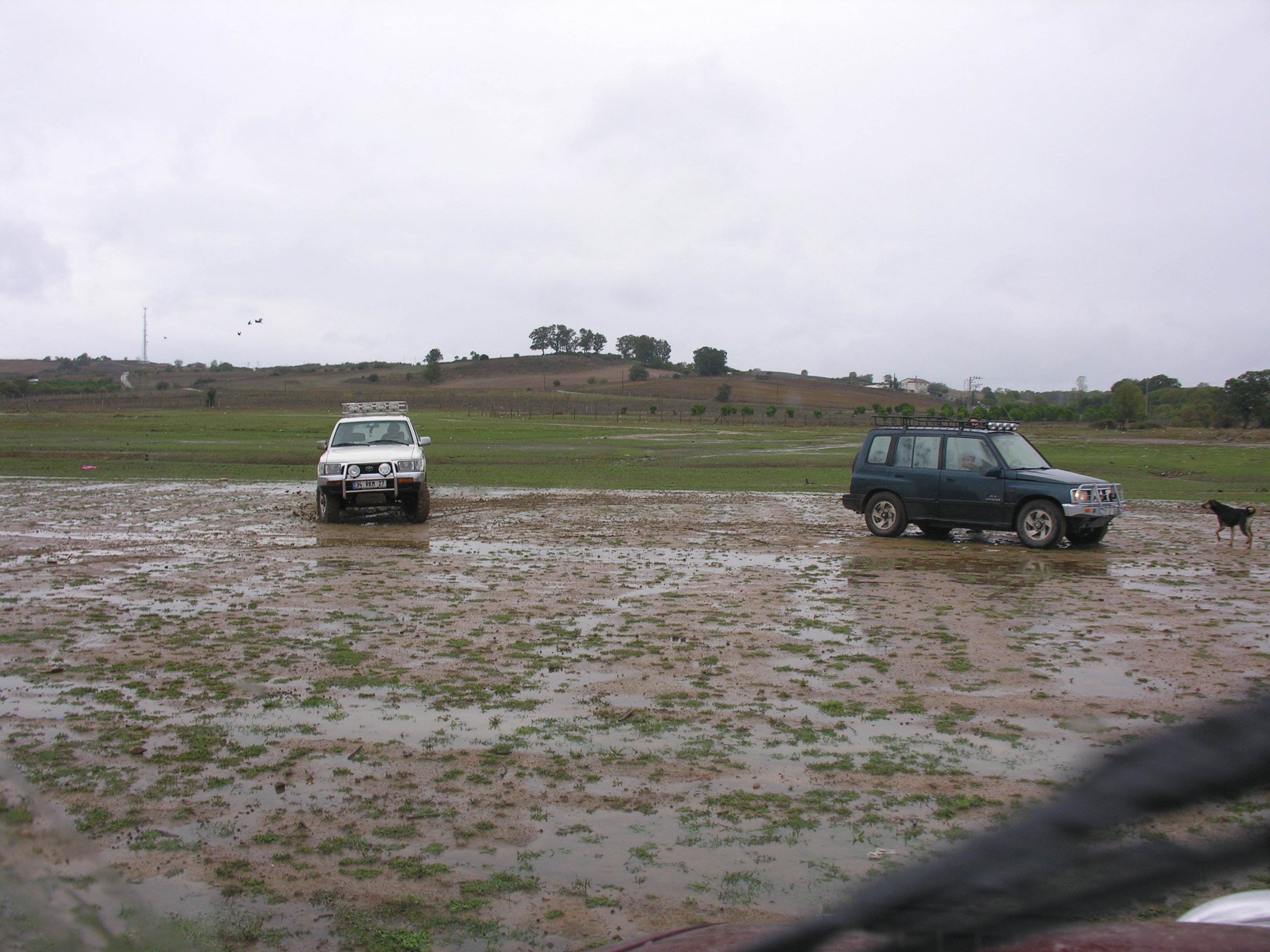 DSCN7943.jpg