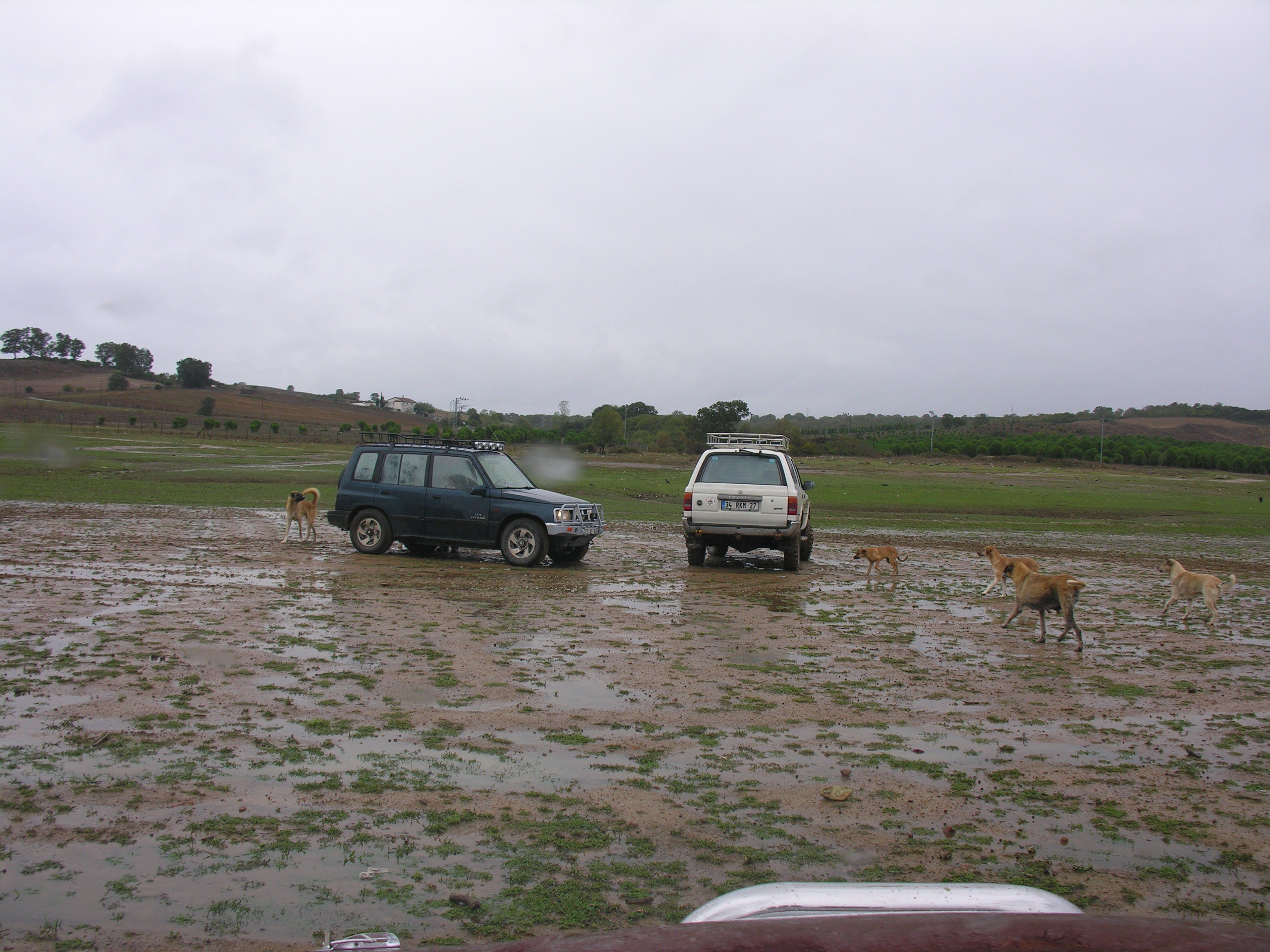 DSCN7945.jpg