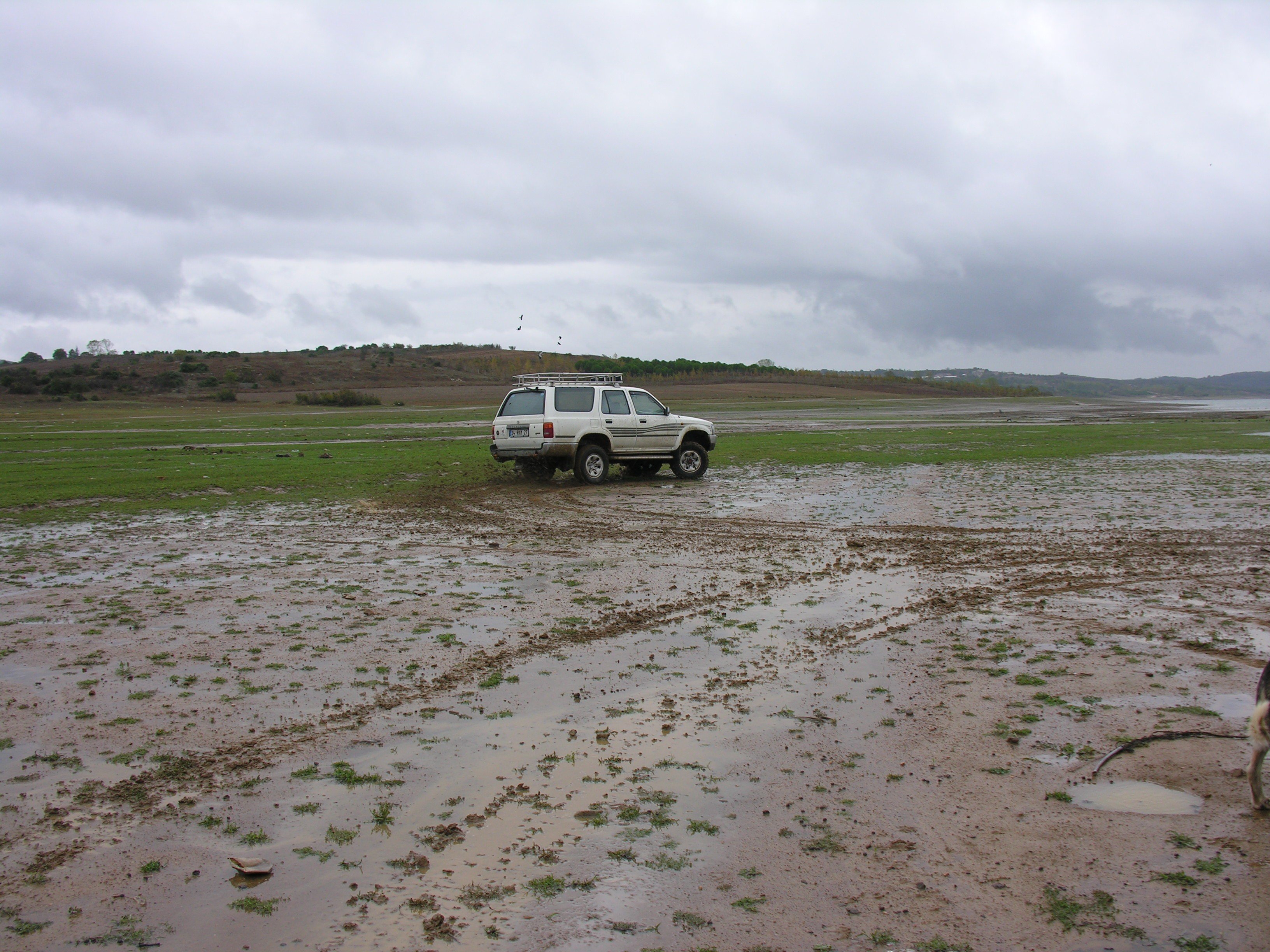 DSCN7947.jpg