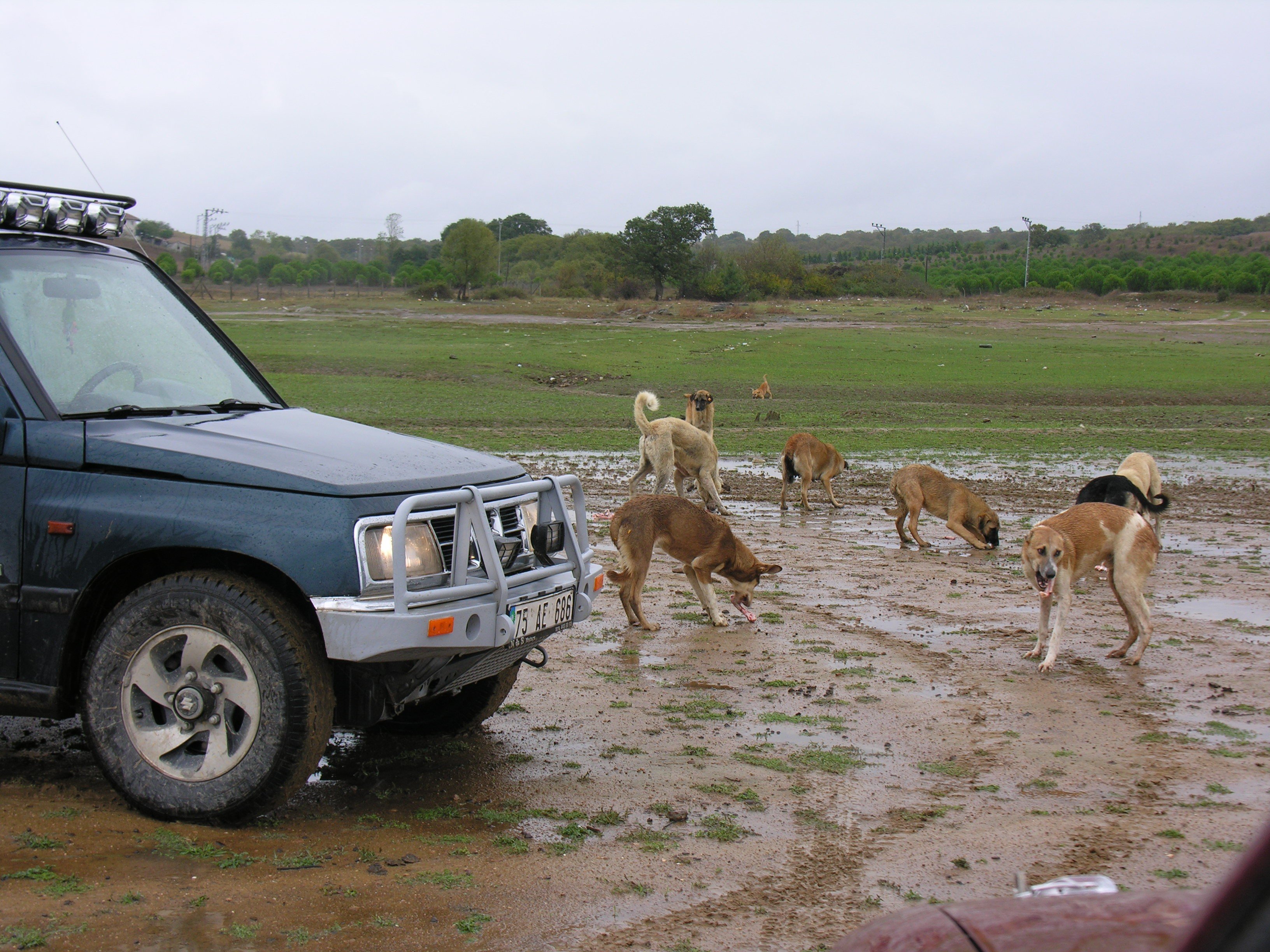 DSCN7952.jpg
