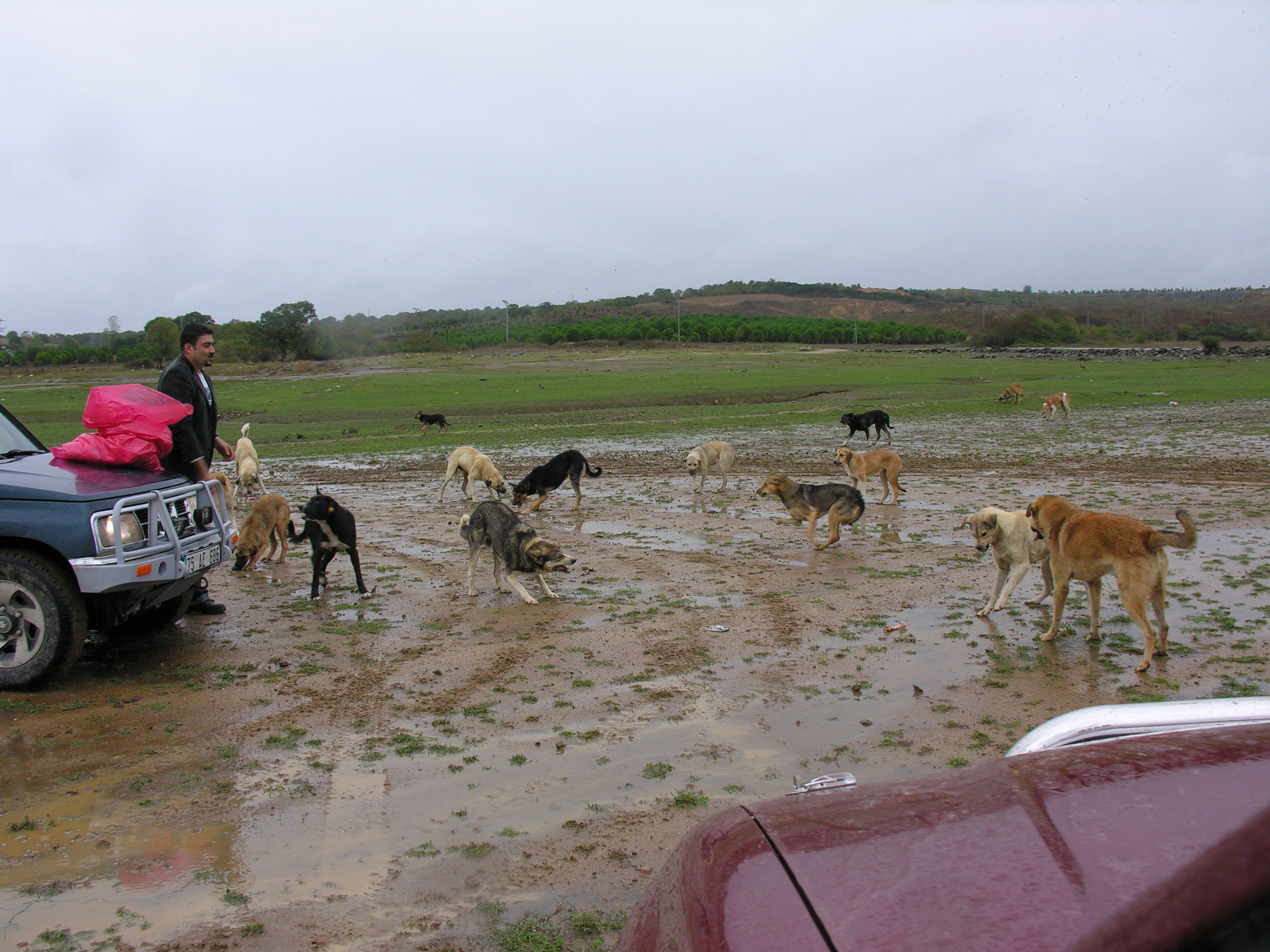 DSCN7955.jpg
