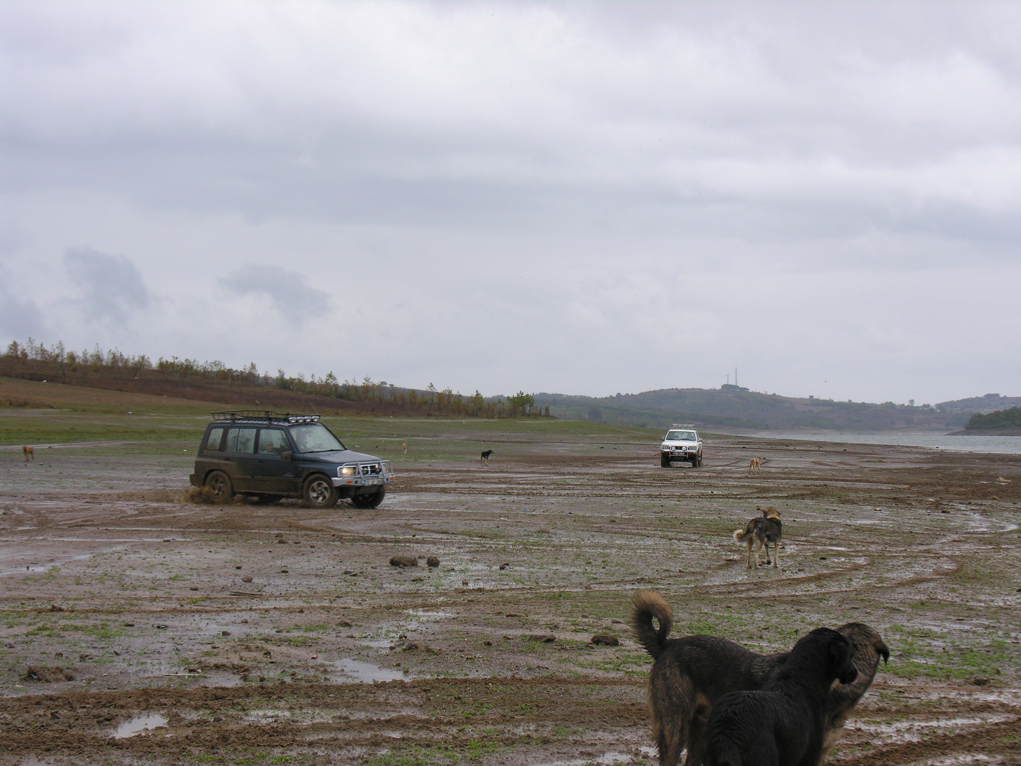 DSCN7971.jpg