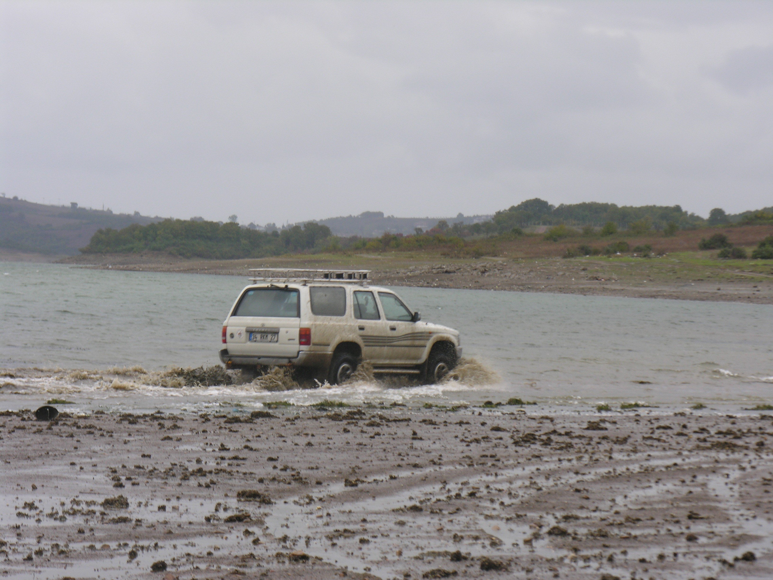 DSCN7981.jpg