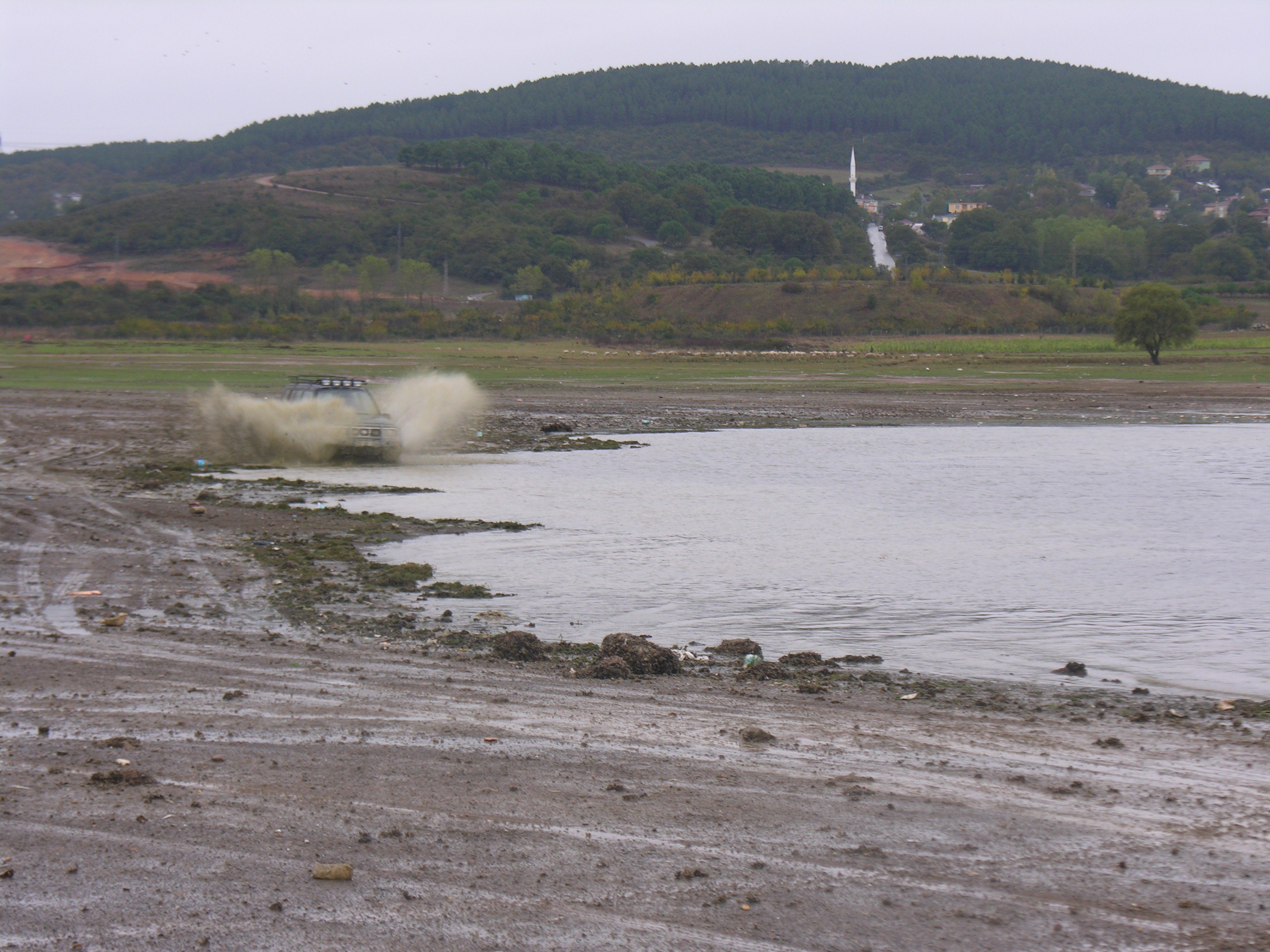DSCN8038.jpg