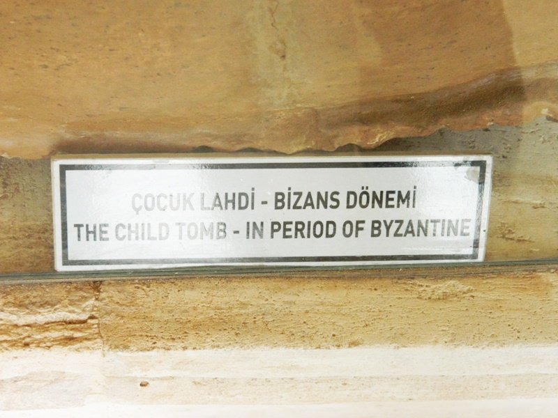 DSCN8162.JPG