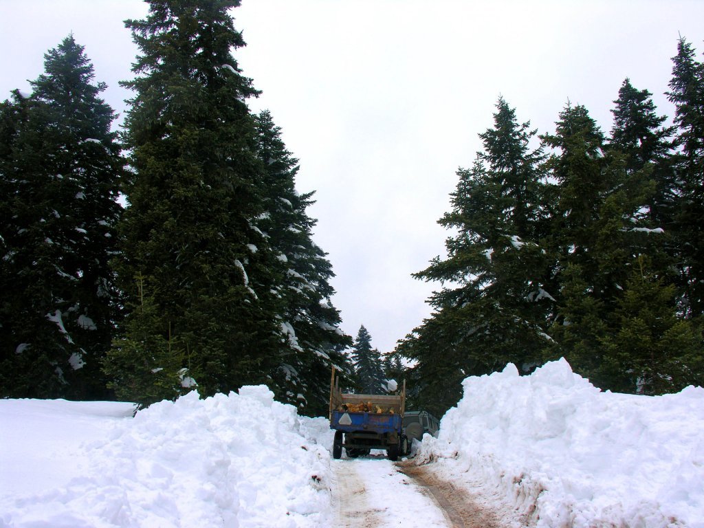 DSCN8266.JPG