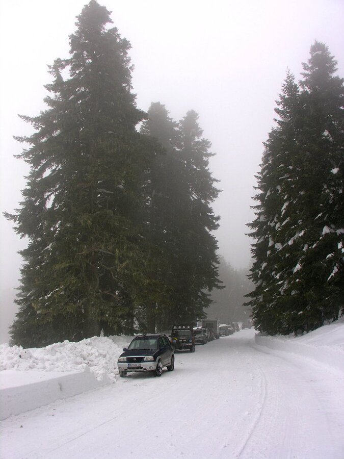DSCN8341.JPG
