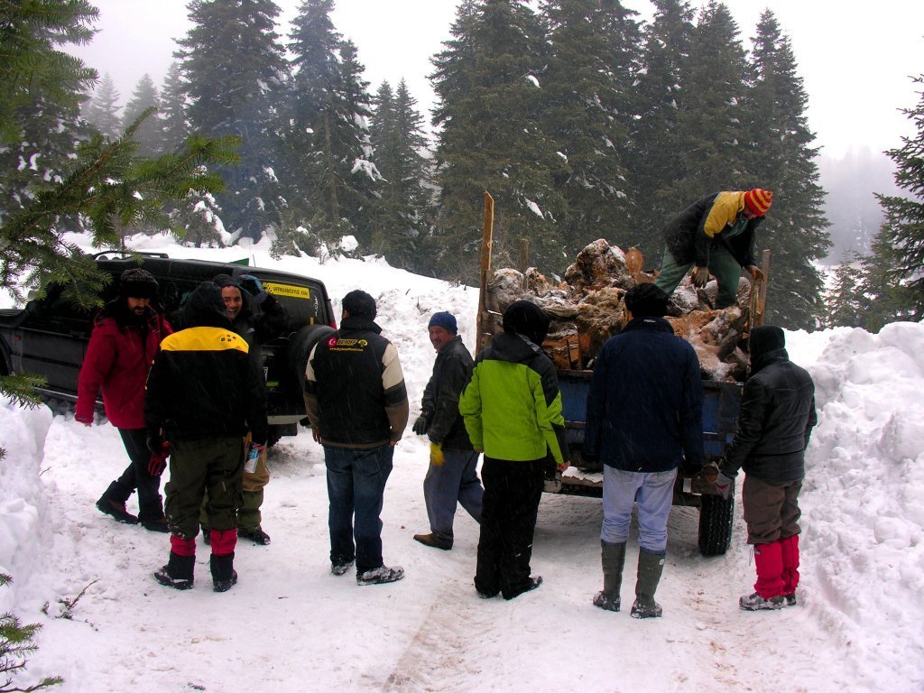 DSCN8343.JPG