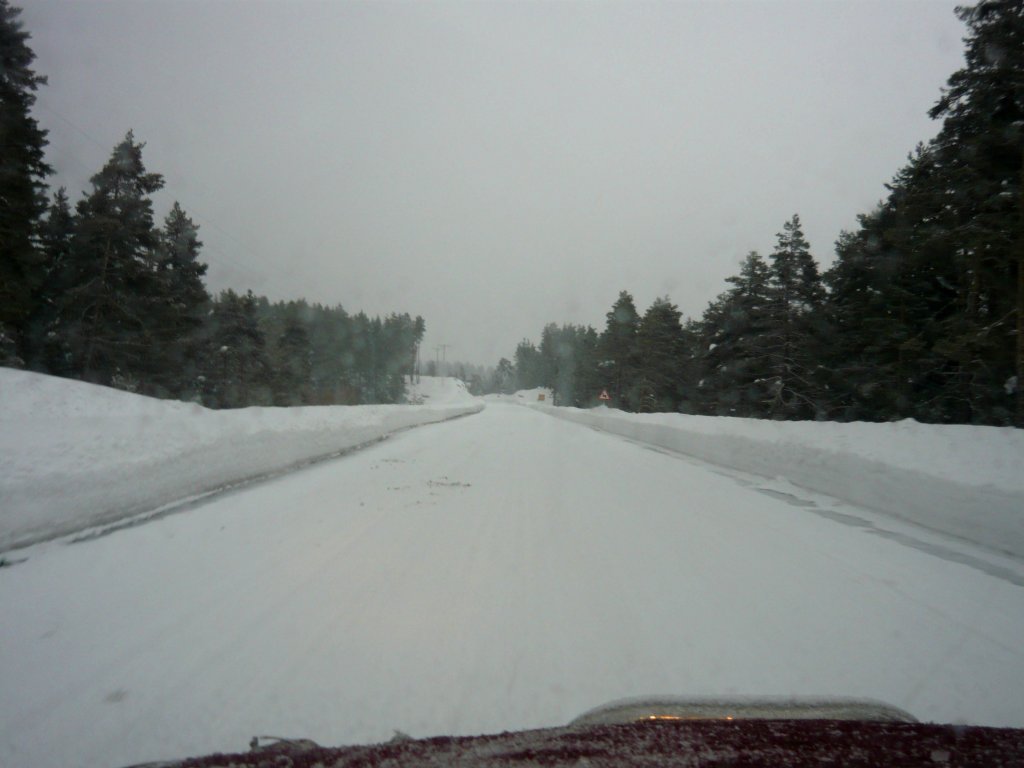 DSCN8351.JPG