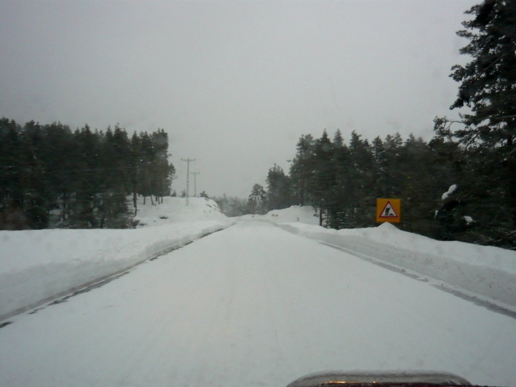 DSCN8352.JPG