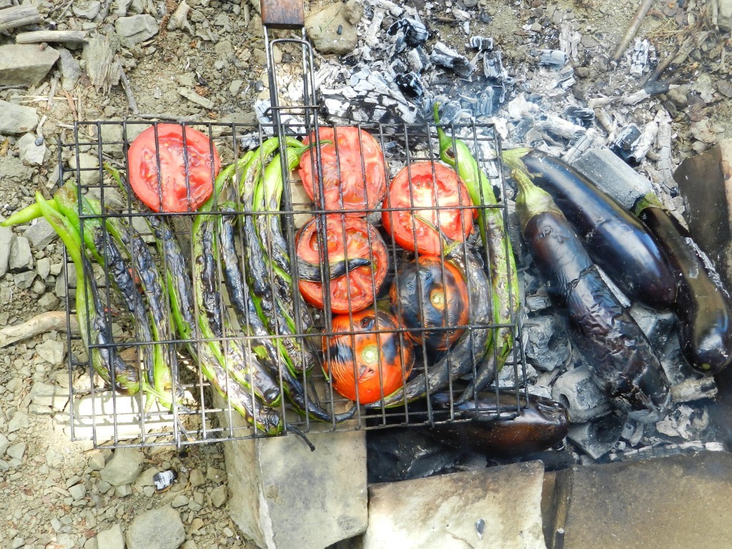 DSCN8499.JPG