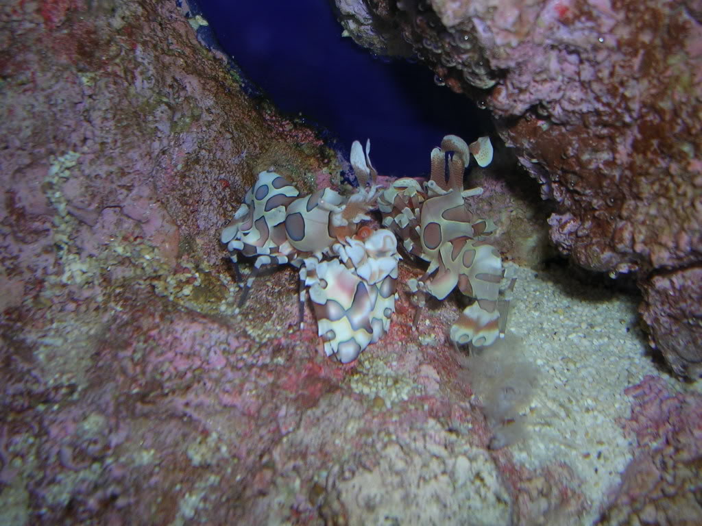 DSCN8513.jpg