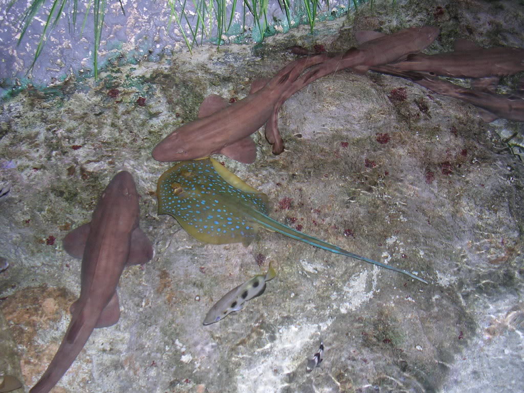 DSCN8556.jpg
