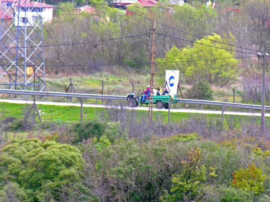 DSCN8561.JPG