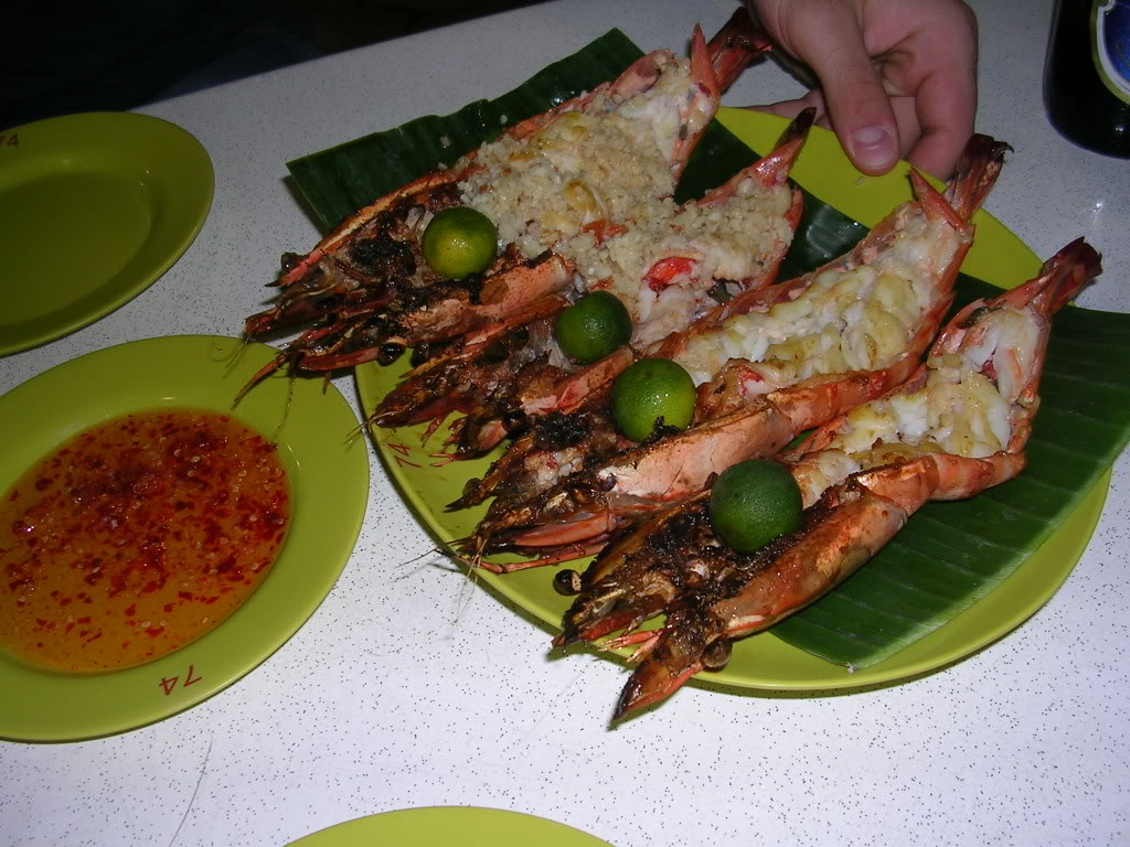 DSCN8575.jpg